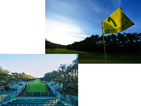 トーナメント写真