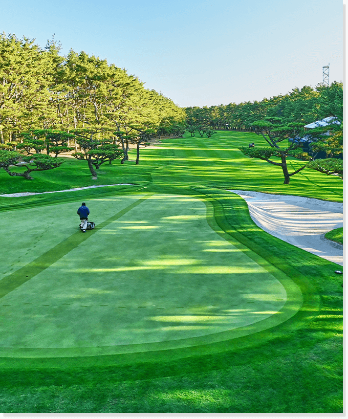 ゴルフ場の写真